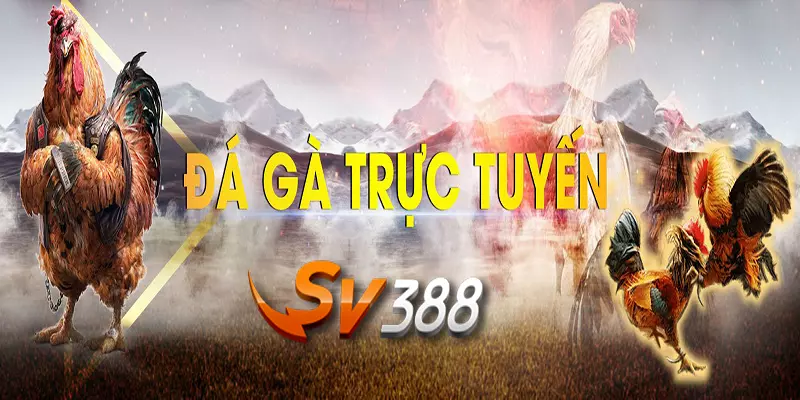 789BET_SV388 Đá Gà Trực Tiếp - Mách Bạn Địa Chỉ Số 1